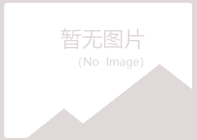 攀枝花夏岚水泥有限公司